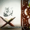 سلسلة برنامج ليت أنى للشيخ محمد حسين يعقوب فيديو مباشر رمضان 1432 هــ