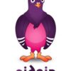 برنامج Pidgin 2.10.7 لفتح جميع ايميلاتك والتحدث مع أصدقائك الكل فى برنامج واحد
