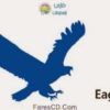 الإصدار الجديد من البرنامج المجانى لتحميل الملفات من النت EagleGet 2.0.1.9 للتحميل برابط مباشر