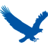 البرنامج المجانى للتحميل من الإنترنت | EagleGet v.2.0.2.8 Stable