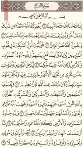 Holy Quran - Moshaf Al Madinah (3)