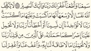 Holy Quran - Moshaf Al Madinah (5)