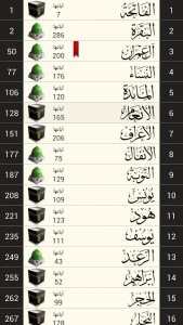 Holy Quran - Moshaf Al Madinah (6)