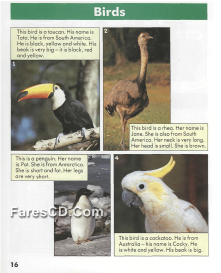 كتاب تعليم الإنجليزية للصغار Start Reading Book (4)