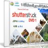 مكتبة الصور العملاقة | Shutterstock Complete Bundle – DVD 1
