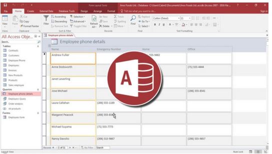 كورس أكسيس 2016 | من يوديمى | Microsoft Access 2016