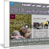 تعرف على المميزات الجديدة لبرنامج أدوبى إن ديزين 2018 مع هذا الكورس | فيديو من ليندا