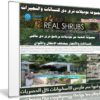 مجموعة موديلات ثرى دى للنباتات والشجيرات | Real Shrubs