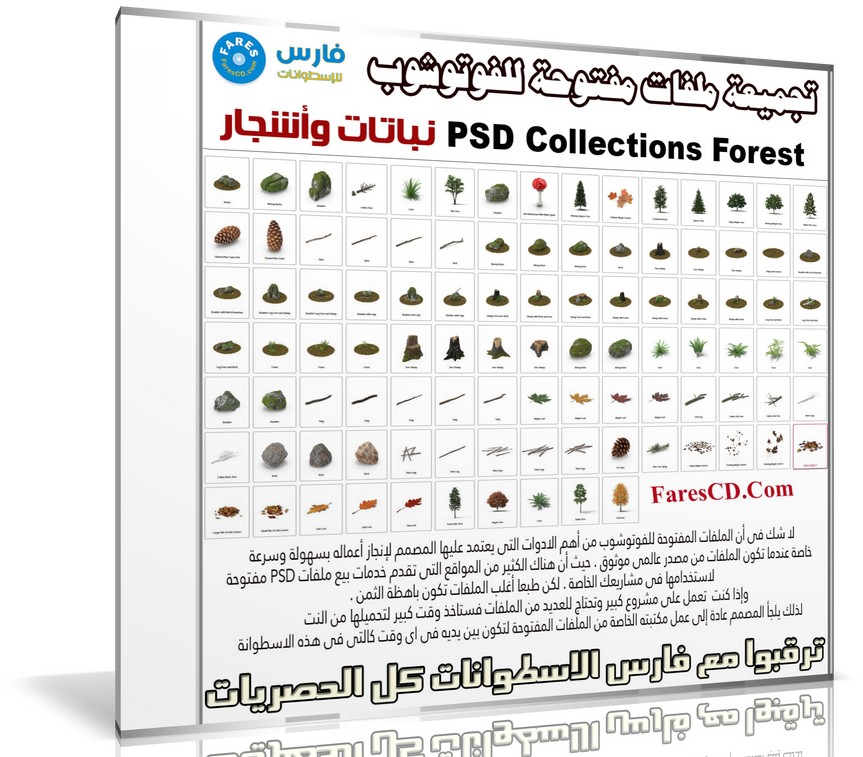 تجميعة ملفات مفتوحة للفوتوشوب | نباتات وأشجار | PSD Collections Forest