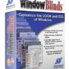 برنامج تغيير شكل الويندوز | Stardock WindowBlinds 10.89
