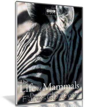 سلسلة حياة الثدييات | The Life of Mammals | وثائقى مترجم