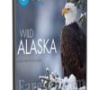 سلسلة الحياة البرية فى الاسكا | Wild Alaska | مترجم