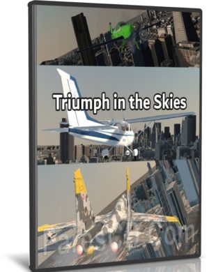 لعبة محاكاة الطيران | Triumph in the Skies