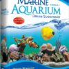 شاشة انتظار واقعية عالية الدقة | SereneScreen Marine Aquarium 3.3.6369