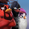 أحدث إصدرات لعبة أنجيرى بيرد | Angry Birds Evolution v2.9.14 | أندرويد