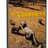 تحميل لعبة | Wilderness
