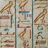 شعبية لعبة كازينو سلوتس على الإنترنت في مصر