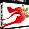 برنامج التصميم بالفرش | Pixarra TwistedBrush Blob Studio 4.17
