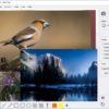 تحميل برنامج السكرين شوت | WinSnap 5.3.6