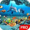 تحميل تطبيق Fish Live Wallpaper 3D Aquarium Background HD PRO v1.7