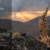 برنامج تحرير الصور 2023 | ON1 Photo RAW 2023.1 v17.1.1.13585