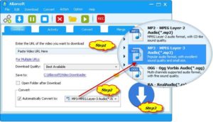 تحميل برنامج Allavsoft Video Downloader Converter 3.25.4.8448