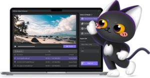 تحميل برنامج تحسين جودة الفيديو | HitPaw Video Enhancer 1.5