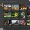 تحميل برنامج IDimager Photo Supreme 7.4.3.4781