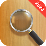 Magnifying Glass Icon