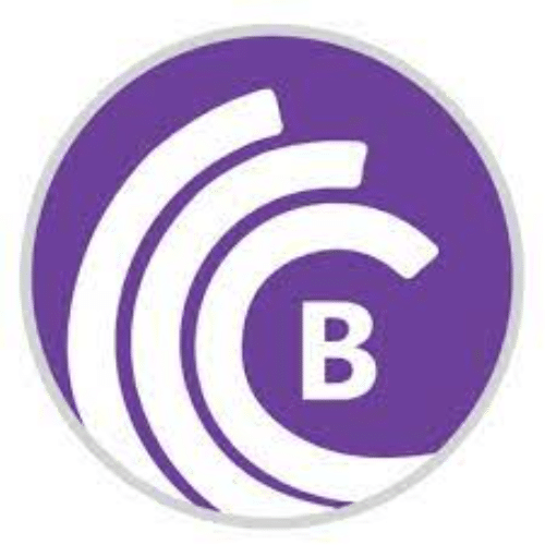 تحميل برنامج BitTorrent Pro