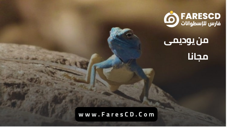أساسيات التصوير الفوتوغرافي