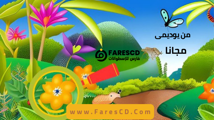 احترف السيو مستوى 2 Keyword Tools for SEO in Arabic