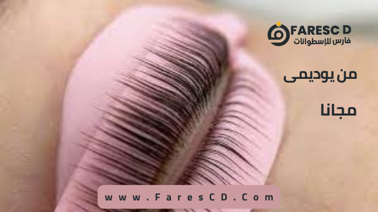 lash lifting & brow lamination
