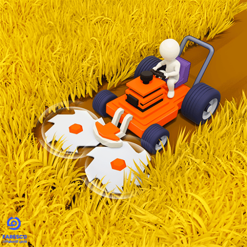 Stone Grass cover
