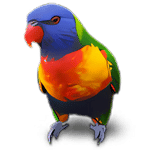 تحميل برنامج Jubler Subtitle Εditor لتحرير وإنشاء الترجمات النصية