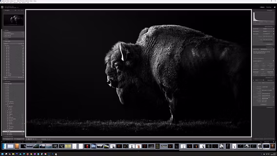 تحميل برنامج أدوبي لايت روم 2026 مع التفعيل Adobe Lightroom