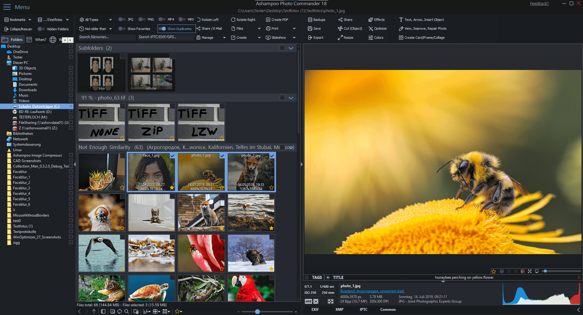 تحميل برنامج Ashampoo Photo Commander 2026 من ميديا فاير مع التفعيل
