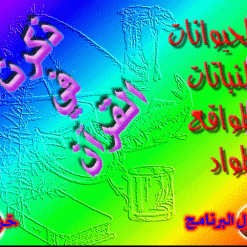 201001414100