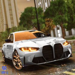 Driving School Simulator- EVO cover