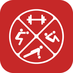 Dumbbell Home Workout New