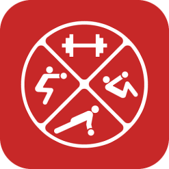 Dumbbell Home Workout New