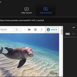 أداة تحويل الفيديو والتحميل من يوتيوب | MiniTool Video Converter