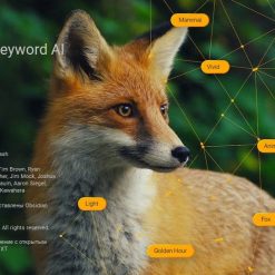 تحميل برنامج ON1 Photo Keyword AI | لتسمية الصور بالذكاء الصناعى