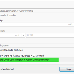 تحميل برنامج Robin YouTube Video Downloader Pro