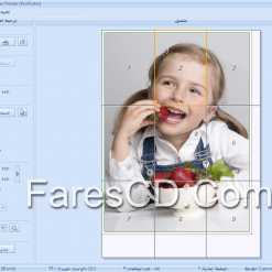 RonyaSoft Poster Printer 3.01.42 (1)