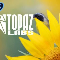 برنامج توضيح الصور و إزالة الشوائب | Topaz Sharpen AI
