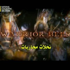 warrior