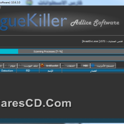 برنامج إزالة الفيروسات والملفات الخبيثة  RogueKiller 10.6.3 (2)