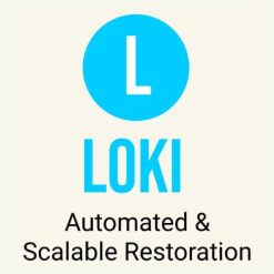 تحميل برنامج Filmworkz Loki لتحسين ومعالجة الصور