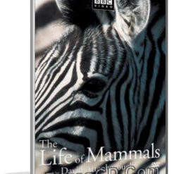 سلسلة حياة الثدييات | The Life of Mammals | وثائقى مترجم